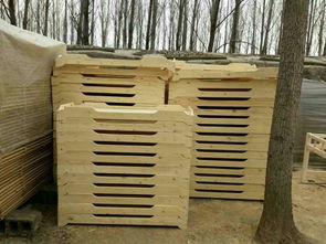 【幼兒園實(shí)木床山東藝貝幼兒園實(shí)木桌椅兒童床廠家炭燒積木廠家】-