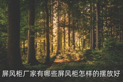 赤峰利鑫金屬項(xiàng)目與南康實(shí)木床 鑫利金屬家具廠的雙重優(yōu)勢